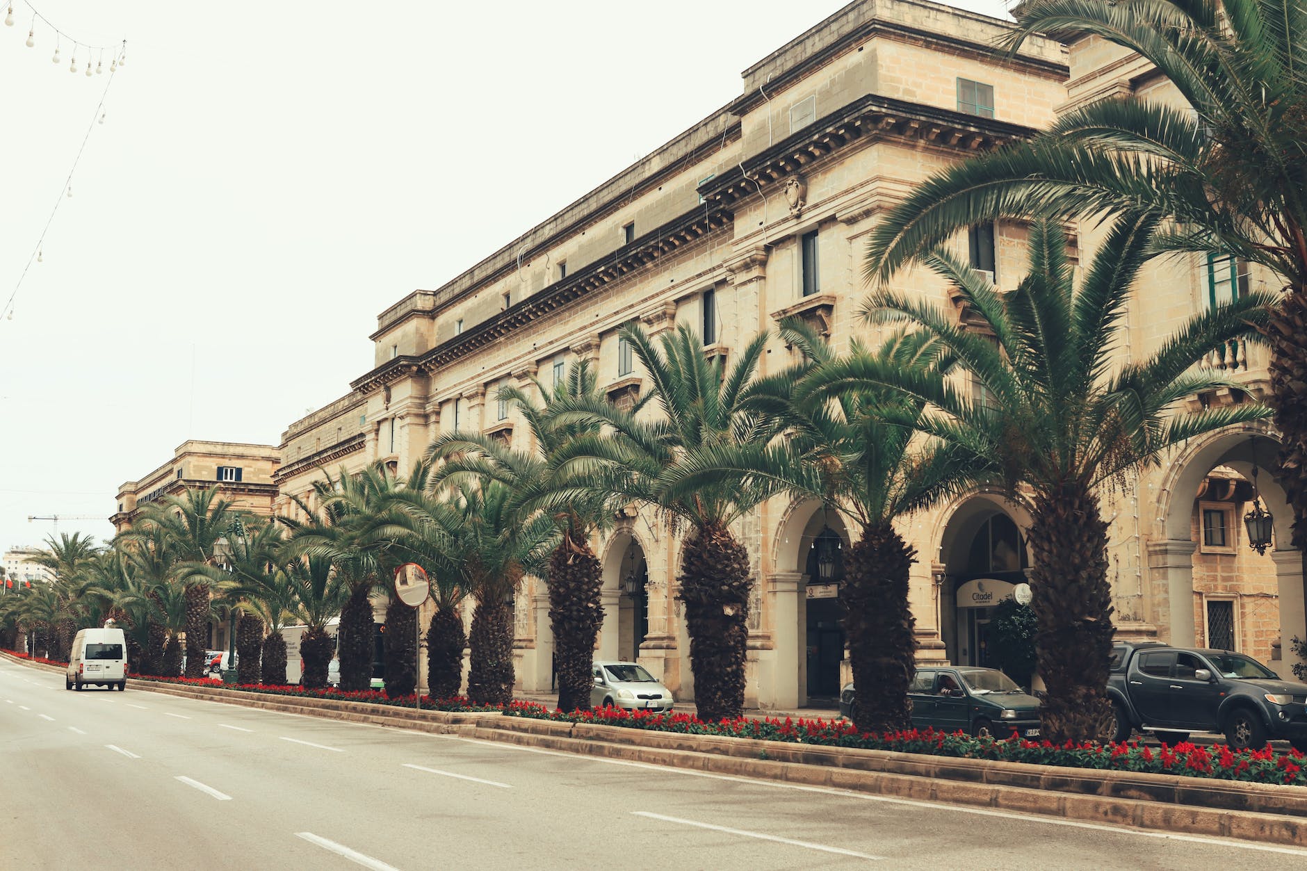 palm trees line the street in front of a building
